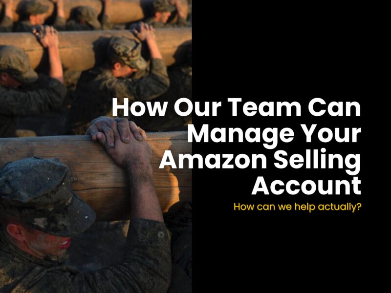 How our team can manager your Amazon selling account?