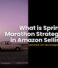 What is Sprint & Marathon Strategies in Amazon Selling?